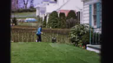 Albany New York (1955): A Young Woman Mowing The Lawn With A Push Mower