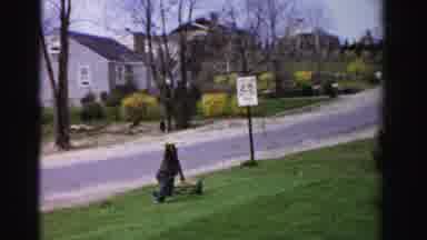 Albany New York (1955): Little Boy Pushing A Lawn Mower That Is Taller Than He Is