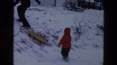 Hicksville New York (1956): The Little Child Was Tried To Walking The Ice Place