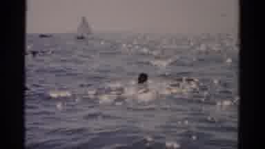 Catskill New York (1957): People Walking On A Beach And Swimmers Near Boats In Day
