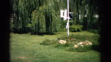 Catskill New York (1957): View Of Green Grass With Rose Trellis On A Sunny Day