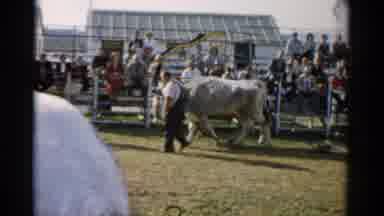 Catskill New York (1957): It Is Biggest Ground All The Persons Are Also Here To