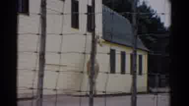 Catskill New York (1957): Tall Beautiful Giraffe Beside A Yellow Windowed Building