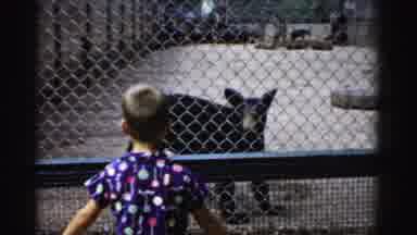 Catskill New York (1957): A Little Boy And Little Cub Realizing We Are Different