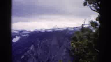 Yellowstone Wyoming USA (1958): Blue Rocky Mountains And Tree As The Camera Pans