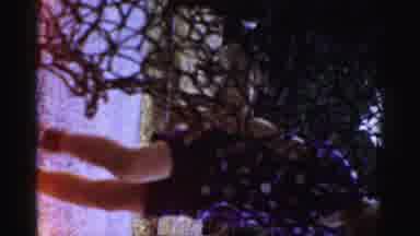 Catskill New York (1957): Cute Bears Playing In The Zoo With Their Neighbors