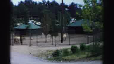 Catskill New York (1957): View Of Fawn And Horses At Park On A Clear Sunny Day