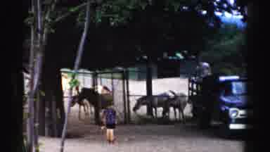 Catskill New York (1957): Vintage Horse Ranch Workers Scenery