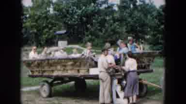 Hicksville New York (1957): Adults And Children Assisted Into A Wheeled Hay Wagon