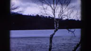 Hicksville New York (1957): Large Lake That Is Partially Frozen Surrounded By Tree