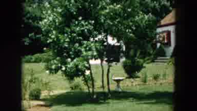 HICKSVILLE NEW YORK-1957: Woman Walking in Backyard with Laundry Drying