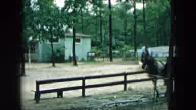 Hicksville New York (1957): Covered Wagon; Stagecoach Pulled By A Team Of Two