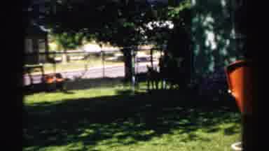 Normal Illinois USA (1957): Man Walking In Front Of A House With A Dog In The