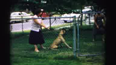 Normal Illinois USA (1957): Womens Are Playing With Her Dog In The Garden
