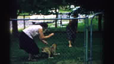 Normal Illinois USA (1957): Dog Barks At Woman While Owner Restrains The Dog