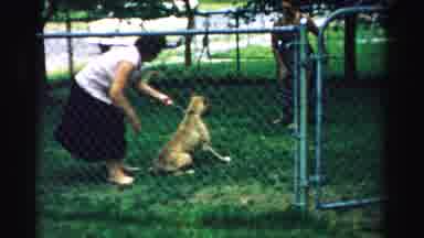 Normal Illinois USA (1957): A Woman Is Holding Her Dog And The Dog Looks At