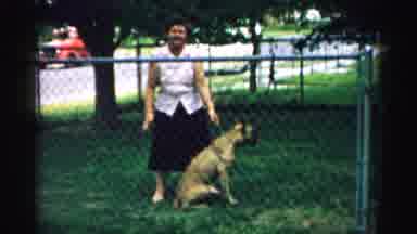 Normal Illinois USA (1957): Large Boxer Dog Lunges At Woman Wearing Black Dress On