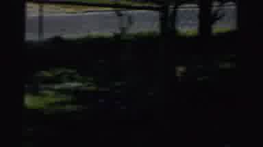 Normal Illinois USA-1957: Dog Stands Behind Chain Link Fence Barking And View Of House