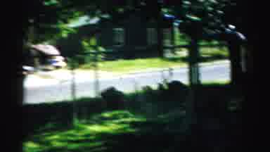 Normal Illinois USA (1957): Dog Barking In A Suburban Front Yard With Trees And