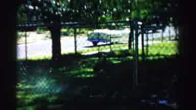 Normal Illinois USA (1957): A Man Watering The Yard In Front Of His House
