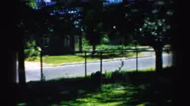 Normal Illinois USA (1957): Uncle Bj Playing With His Big Dog That I Was Afraid Of