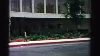 Las Vegas Nevada (1957): Garden Area Next To A Large Parking Lot Of A Business