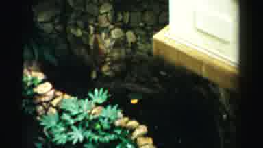Las Vegas Nevada (1957): Beautiful Greenery Fountain Of Pond With Bricks Decor