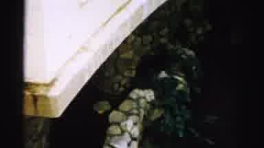 Las Vegas Nevada (1957): The Unknown Oozing Of Our Beloved Walls