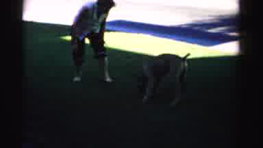 Nevada USA (1957): Man Playing With His Attractive Brown Massive Dog In His