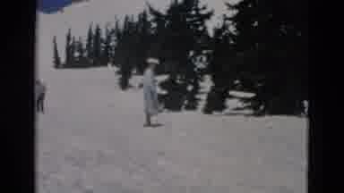 OREGON USA-: A Woman With A Large Hat Walking In The Snow Next To Pine Trees On