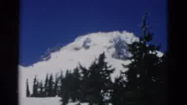 OREGON USA-: Snowy Mountain Peak With A Trail Of Evergreens In The Foreground A Man Walks Downhill