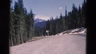 Montana USA-1958: Camera Captures Tall Pine Trees And Snowy Mountains And Cars