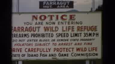 Yellowstone Wyoming USA (1958): Sign In Front Of The Tree Says Farragut Wildlife