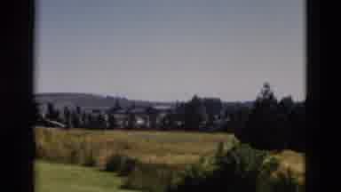 Yellowstone Wyoming USA (1958): A Calm Panning Shot Of Some Plains And A Treeline