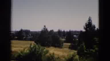 Yellowstone Wyoming USA (1958): Home Footage Of A Panorama Of A Flat Field With