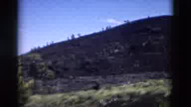 Yellowstone Wyoming USA (1958): It Very Natural Place