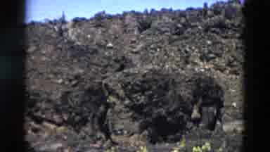 Yellowstone Wyoming USA (1958): View Of A High Place With Little Vegetation And