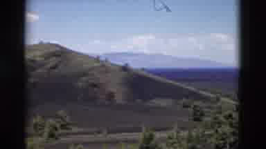 Yellowstone Wyoming USA (1958): View Of Brown Hill And Green Trees On A Sunny Day