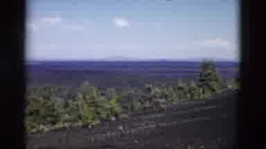 Yellowstone Wyoming USA (1958): Beautiful Desert Plants On Mountains And Black