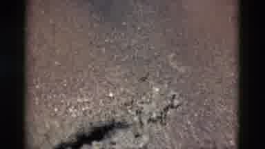 Yellowstone Wyoming USA (1958): This Is The Sand And Full Of Different Varieties
