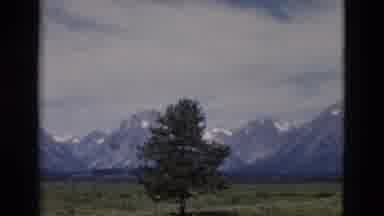 Yellowstone Wyoming USA (1958): External View Of Mount Nevado From A Busy Road On