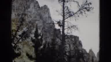 Yellowstone Wyoming USA (1958): Camera Pans Across The Mountains And Trees On A