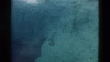 Yellowstone Wyoming USA (1958): Nature Video Showcases A Deep Water Spring With
