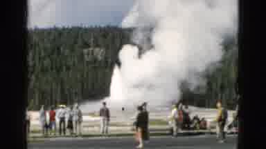Yellowstone Wyoming USA (1958): Group Of People Walking Around And Observing A
