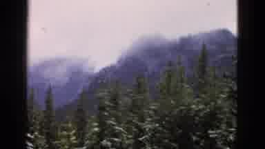 Yellowstone Wyoming USA (1958): Privileged View Of Valley With Lake With Trees And