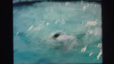 Lynbrook New York (1971): A Couple People Dunking Around In A Pool With Someone