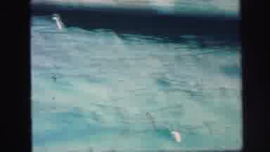 Lynbrook New York (1971): A Person Swimming In The Pool They Enjoy Himself