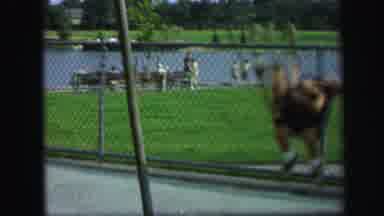 Lynbrook New York (1971): Man Wearing Grey Pants Pushes Toddler On Swing On A