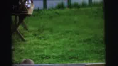 Lynbrook New York (1973): Two Boys Stand Behind A Wire Fence And Clown Followed By