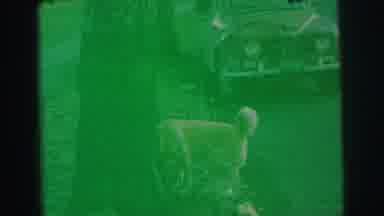 Lynbrook New York (1973): A Dog Sniffing Around Near A Tree In The Neighborhood